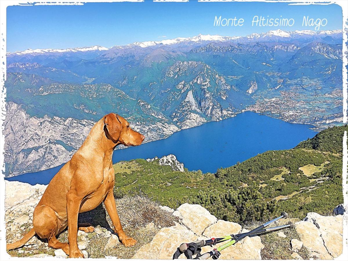 Viewlake Apartment Torbole Sul Garda Zewnętrze zdjęcie